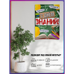 Школьный плакат на 1 сентября 