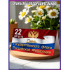 Поздравительная открытка с триколором на День флага 22 август