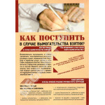 Плакат «Как поступить в случаи вымогательства взятки»
