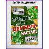 Плакат на дембель