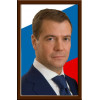 Портрет Медведев Д.А.