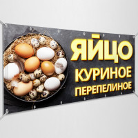 Баннеры «Яйца куриные»