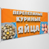 Баннер «Яйцо куриное, перепелиное»