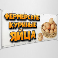 Баннер «Фермерские куриные яйца»